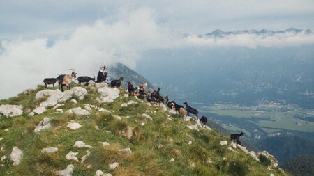 Drezniska_Koza_in_njeni_ljudje_4_1